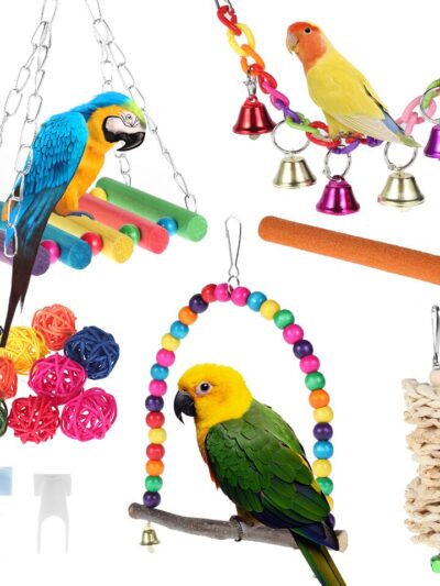 17pcs/set Parrot Toys