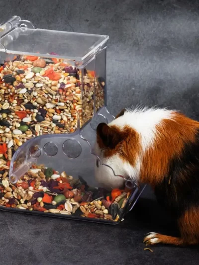 Hamster Rabbit Food Dispenser