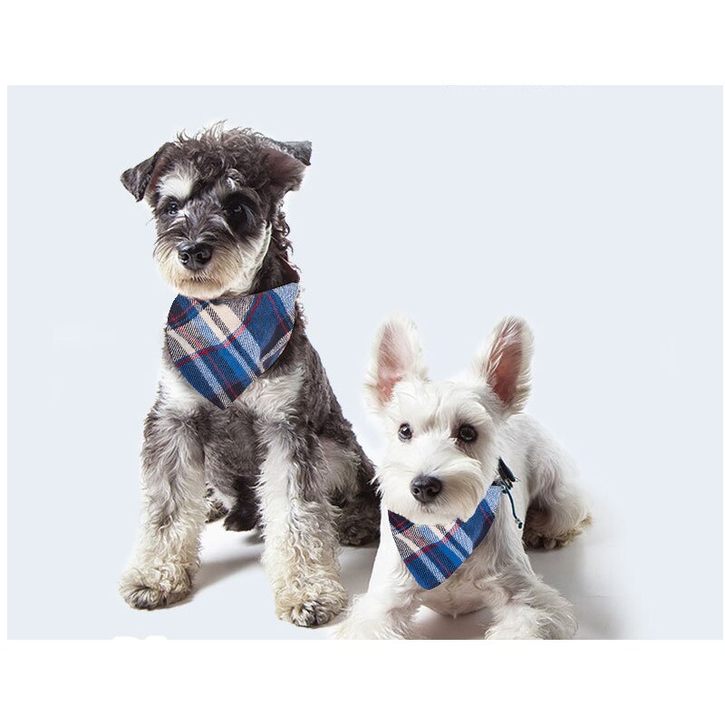 Scotsman Bandanas - Image 3