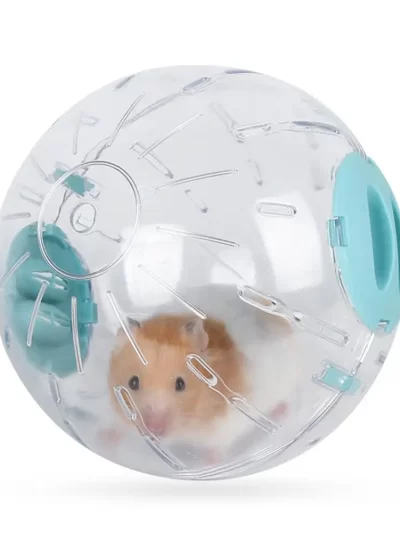 Hamster Running Ball With Light