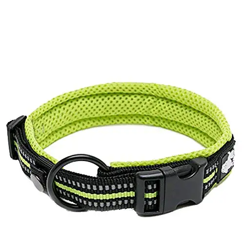 Truelove Pet Dog Collar Nylon Adjustable Webbing Padded Soft Reflective Durable Heavy Duty Training Custom Luxury Cat TLC5011 - Image 10