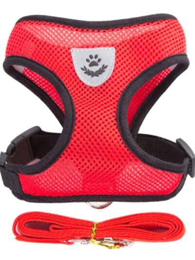 Dog Harness With Walking Leash