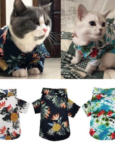 Colorful Summer Hawaiian Shirt