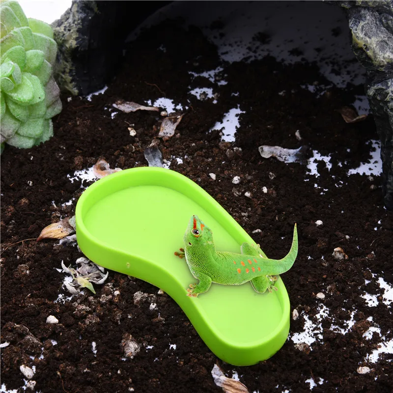Amphibians Reptile Feeder - Image 2