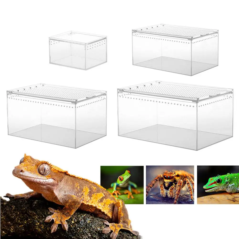 Acrylic Reptile Breeding Box