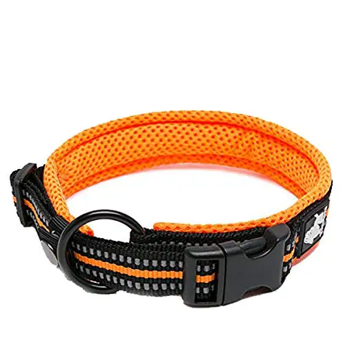 Truelove Pet Dog Collar Nylon Adjustable Webbing Padded Soft Reflective Durable Heavy Duty Training Custom Luxury Cat TLC5011 - Image 12