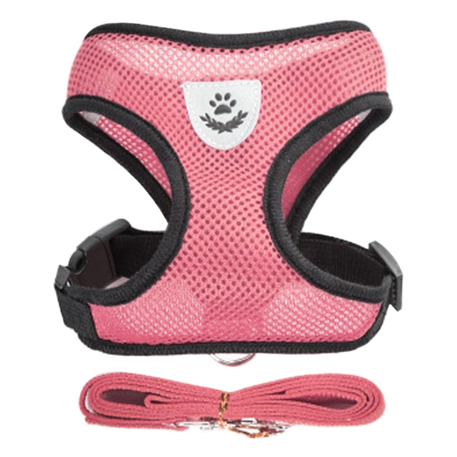 Dog Harness With Walking Leash - Image 6