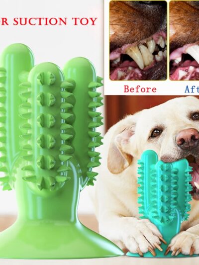 NEW Dog Toothbrush Toy