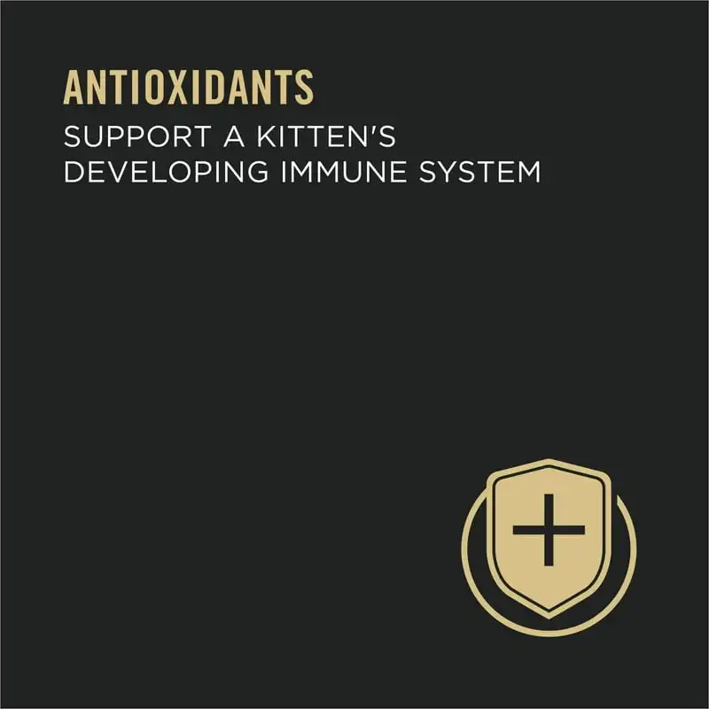 Cat Food for Kittens Variety Pack, 3 oz Cans (12 Pack) - Image 5