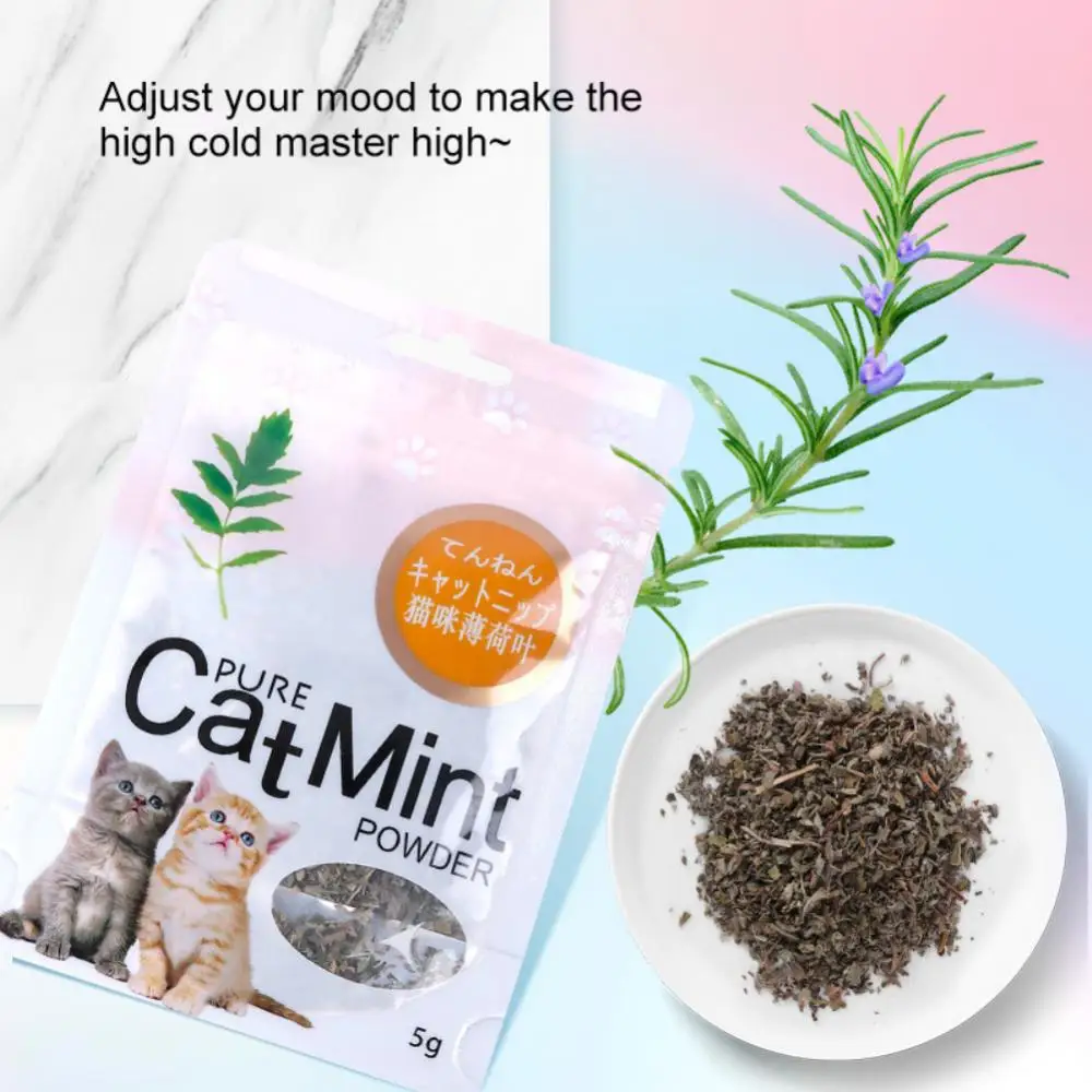 100% Natural Catnip - Image 6