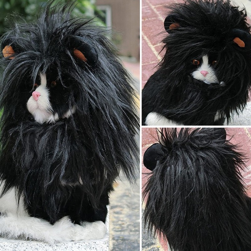 Lion Mane Wig - Image 4