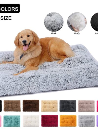 Plush Dog Bed