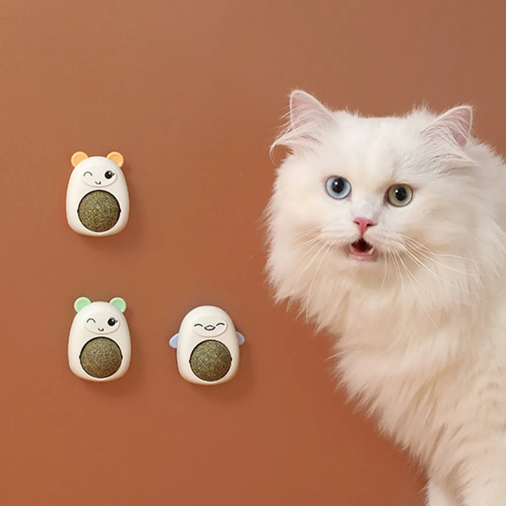 Plastic Catnip Ball Natural Safe Cats Catnip Balls Toy with Transparent Cover Cats Teeth Cleaning Catnip for Pet Treats Supplies