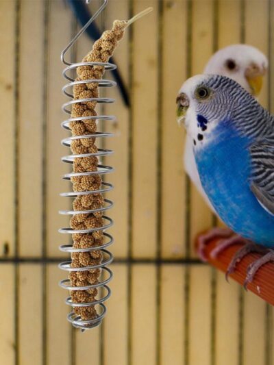 Stainless Steel Bird Feeder