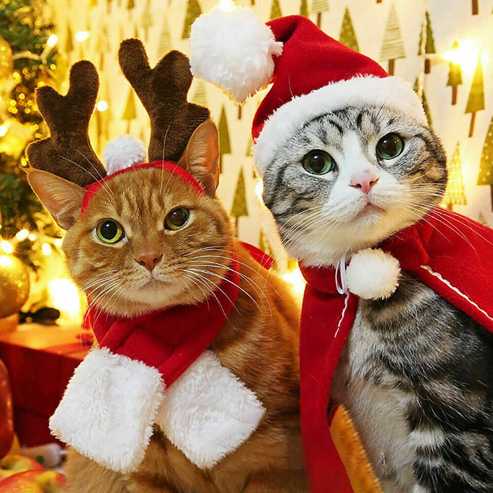 Christmas Cat Costumes - Image 5