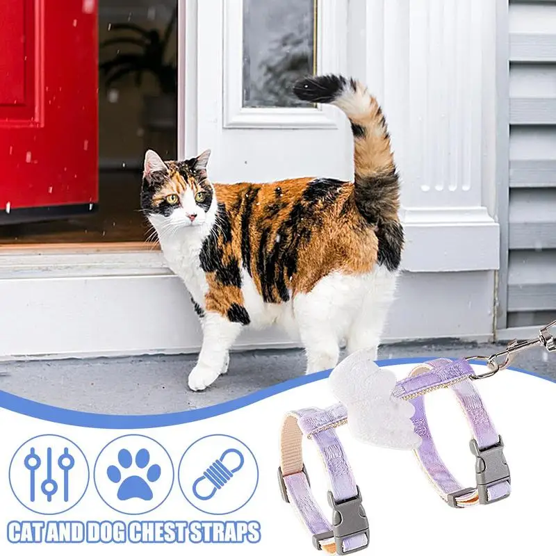 Angel Wings Harness for Cat and Dog - Image 5
