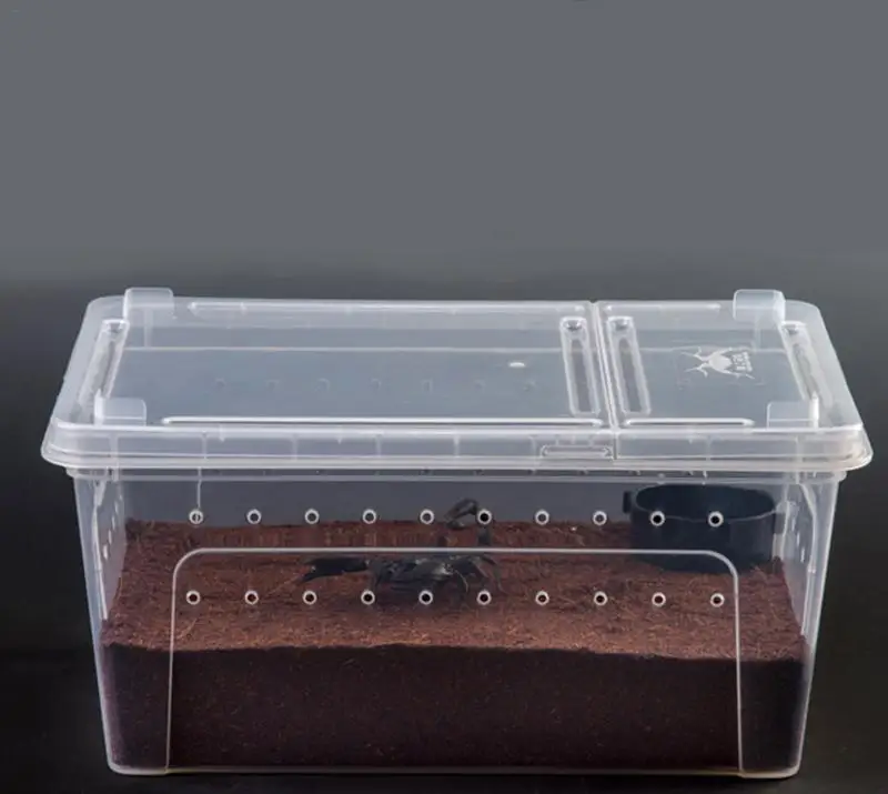 Reptile Feeding Box