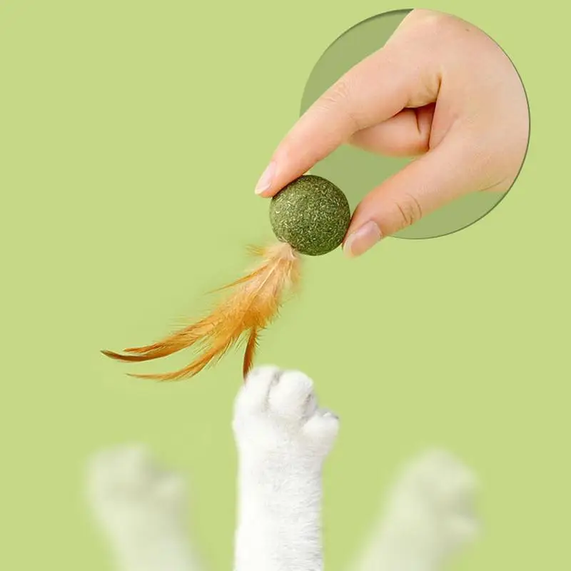 Catnip Ball Feather Cat Tooth Cleaning Cat Toy Promote Digestion Pet Kitten Interactive Chew Hair Removing Ball Pet Accessories - Image 5