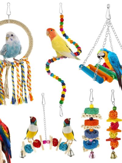 7Pcs Parrot Toys Kit