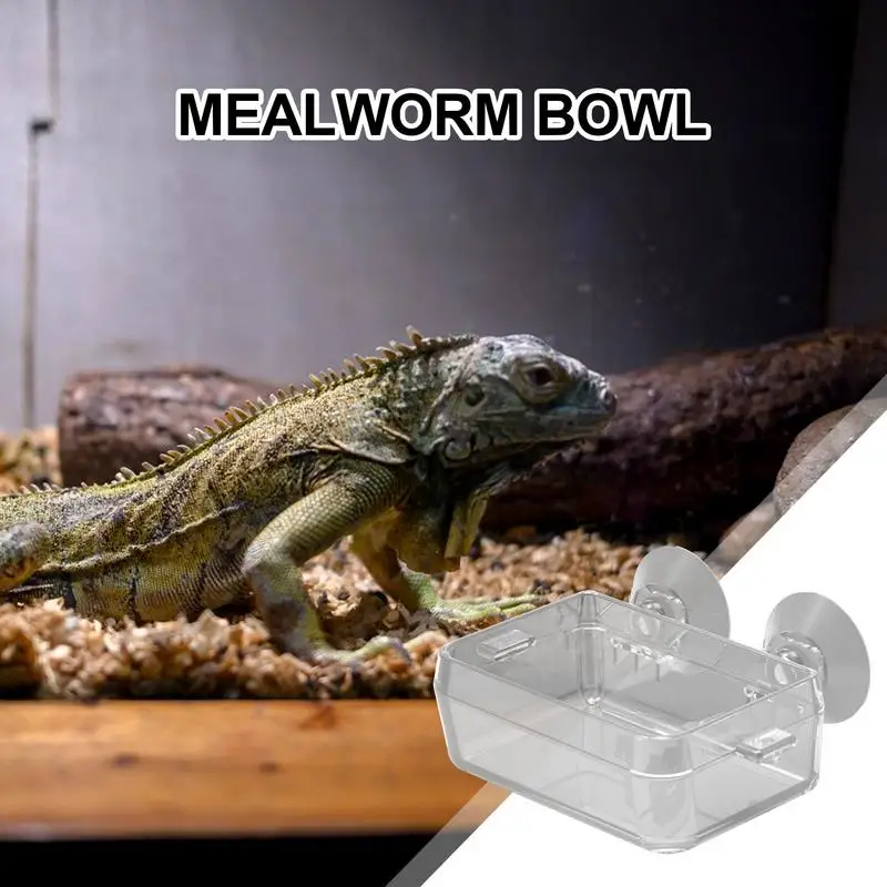 Reptile Food Dish Bowl - Image 3
