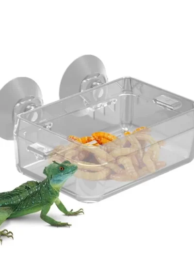 Reptile Food Dish Bowl