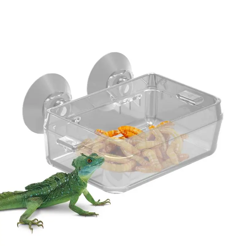 Reptile Food Dish Bowl