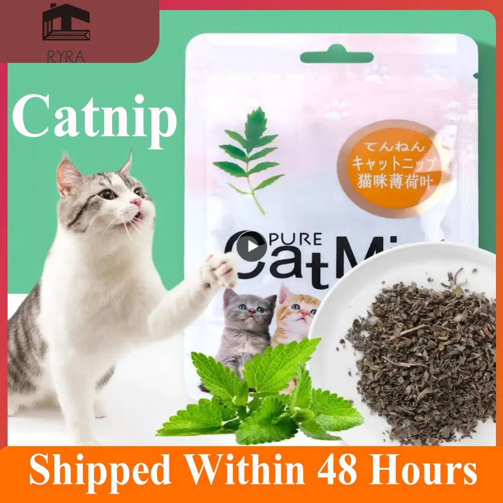 100% Natural Catnip - Image 2