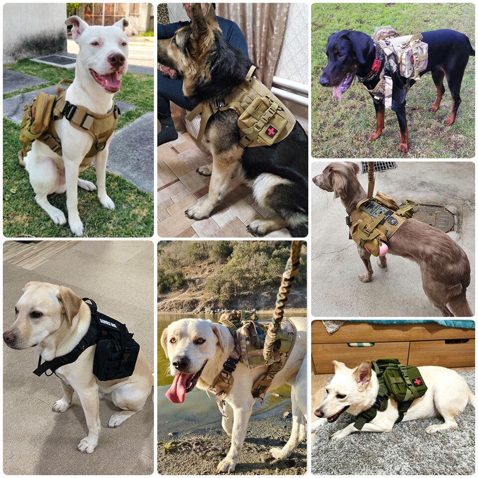 Tactical Dog Harness with Leash Full Set for Large Dogs - Image 12