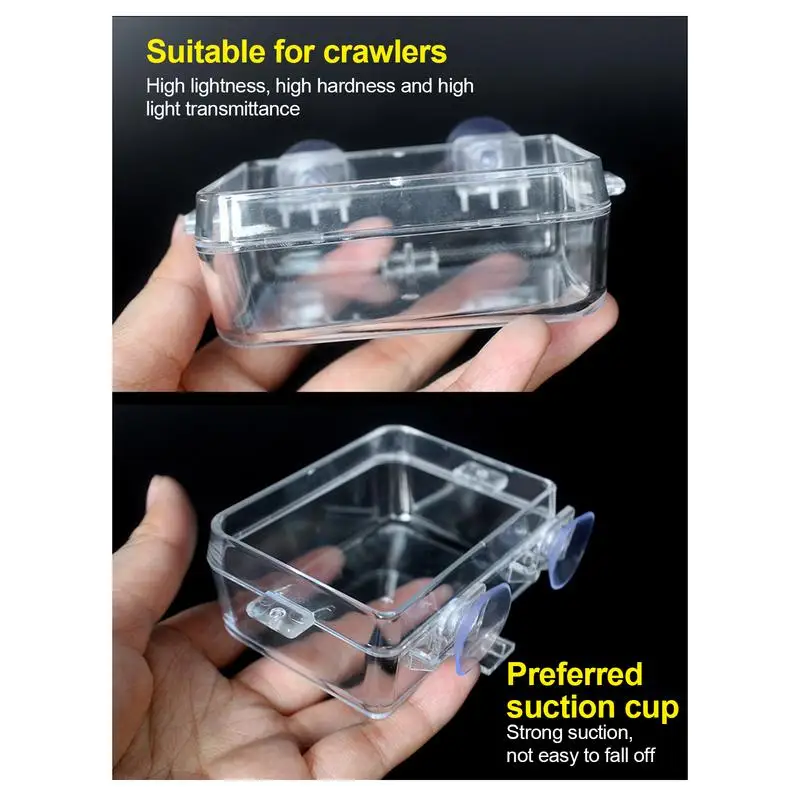 Reptile Food Dish Bowl - Image 3