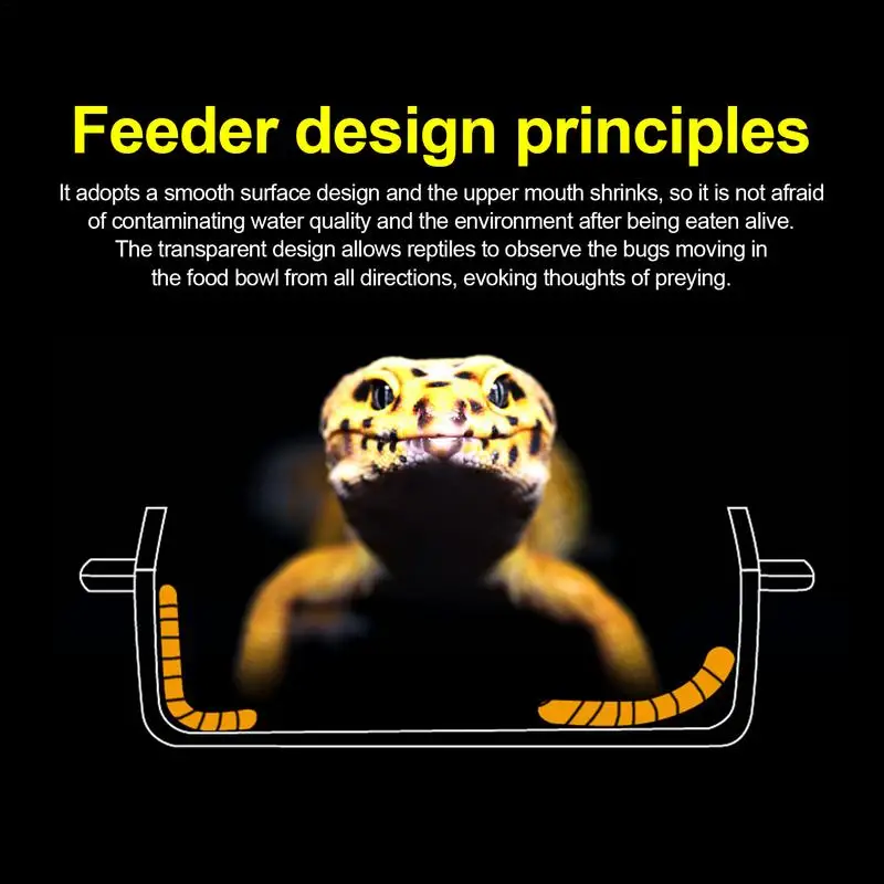 Reptile Food Dish Bowl - Image 2