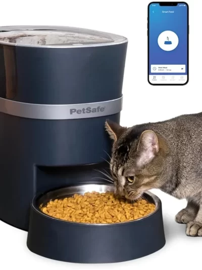 Water Fountain for Cats