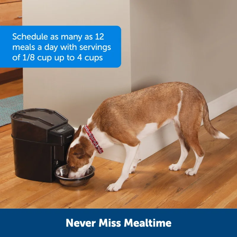 Automatic Cat Feeder - Image 2