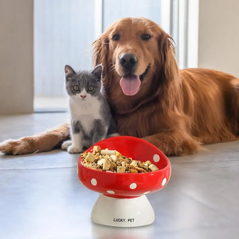 Cat Elevated Food Bowl - Image 2