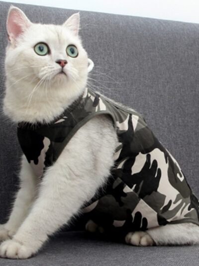 Camouflage Cat Vest