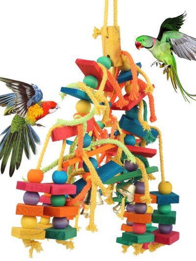 Colorful Parrot Chew Toys