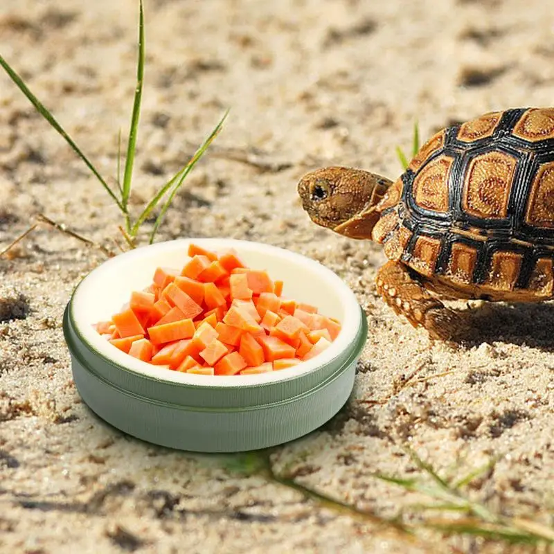 Reptile Water Bowl Food Feeder Dish - Image 3