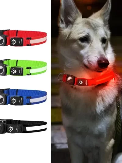 USB Rechargeable Pet Dog LED Glowing Collar Glowing For Air-Tag Flashing Necklace Collar Outdoor Walking Night Safety Supplies