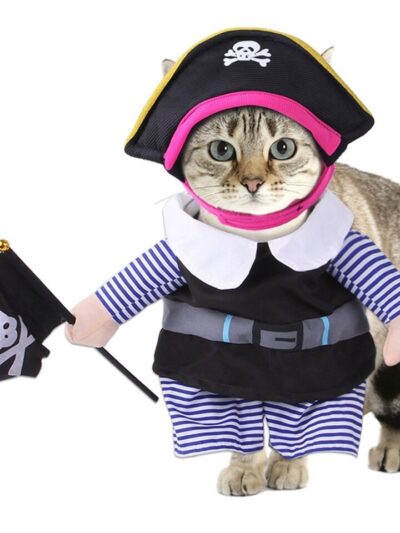 Pirate Suit Cat Costume