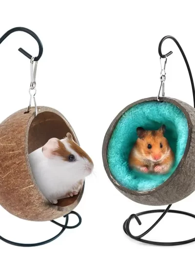 Hamster Coconut Hideout