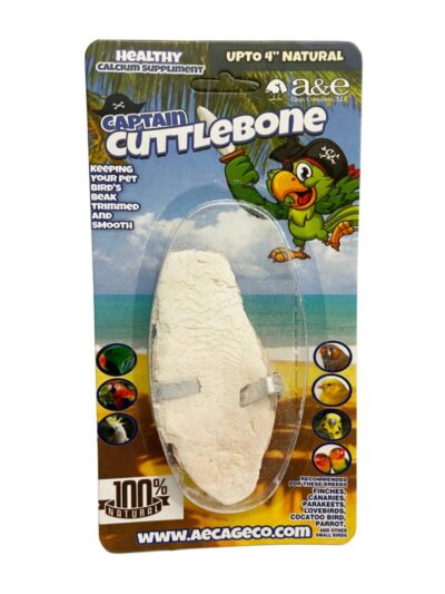 A & E Cages Natural Cuttlebone 1ea/4 in.  (Pack of 3)