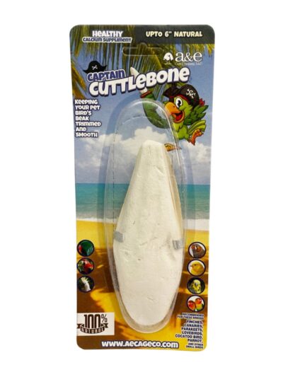 A & E Cages Natural Cuttlebone 1ea/6 in. (Pack of 3)
