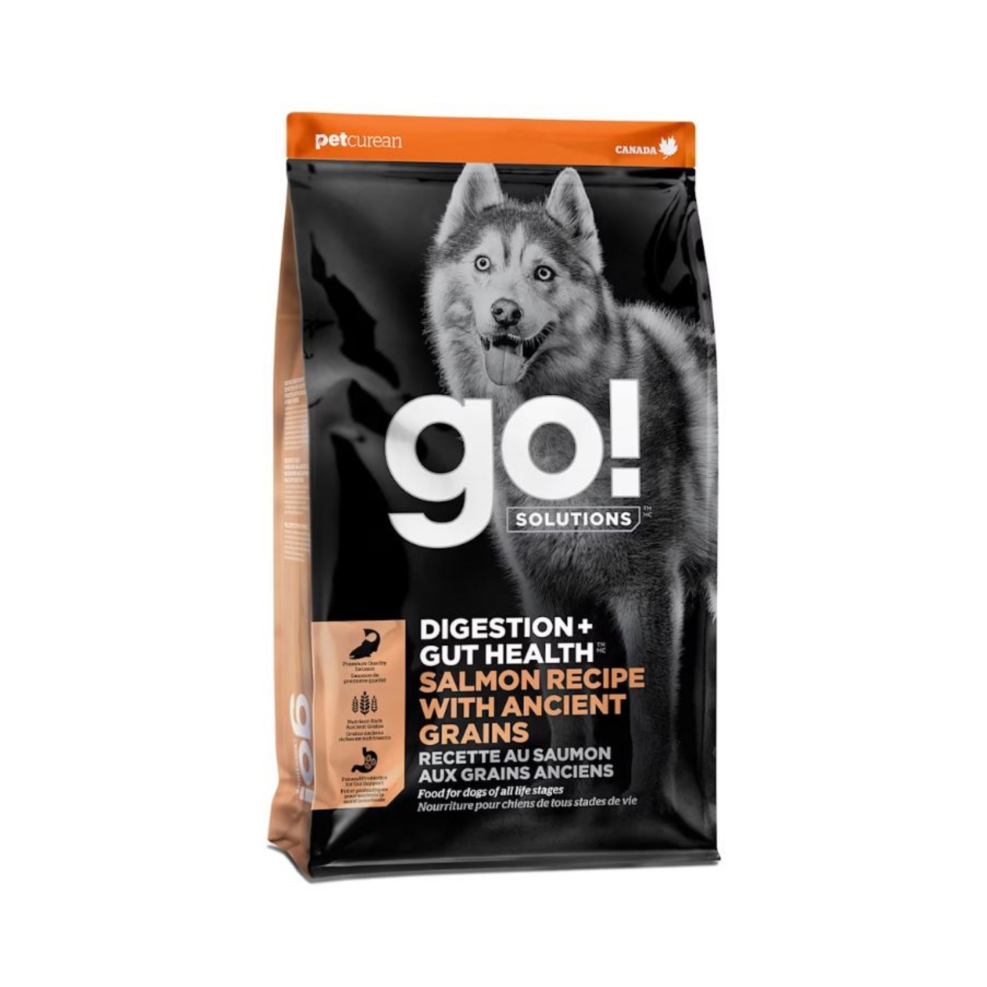 Go! Dog Digestion + Gut Health Salmon Ancient Grain 12Lb
