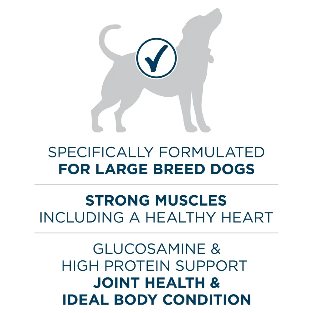 Purina One +Plus Dry Dog Food for Large Adult Dogs High Protein, Real Chicken, 31.1 lb Bag - Image 2