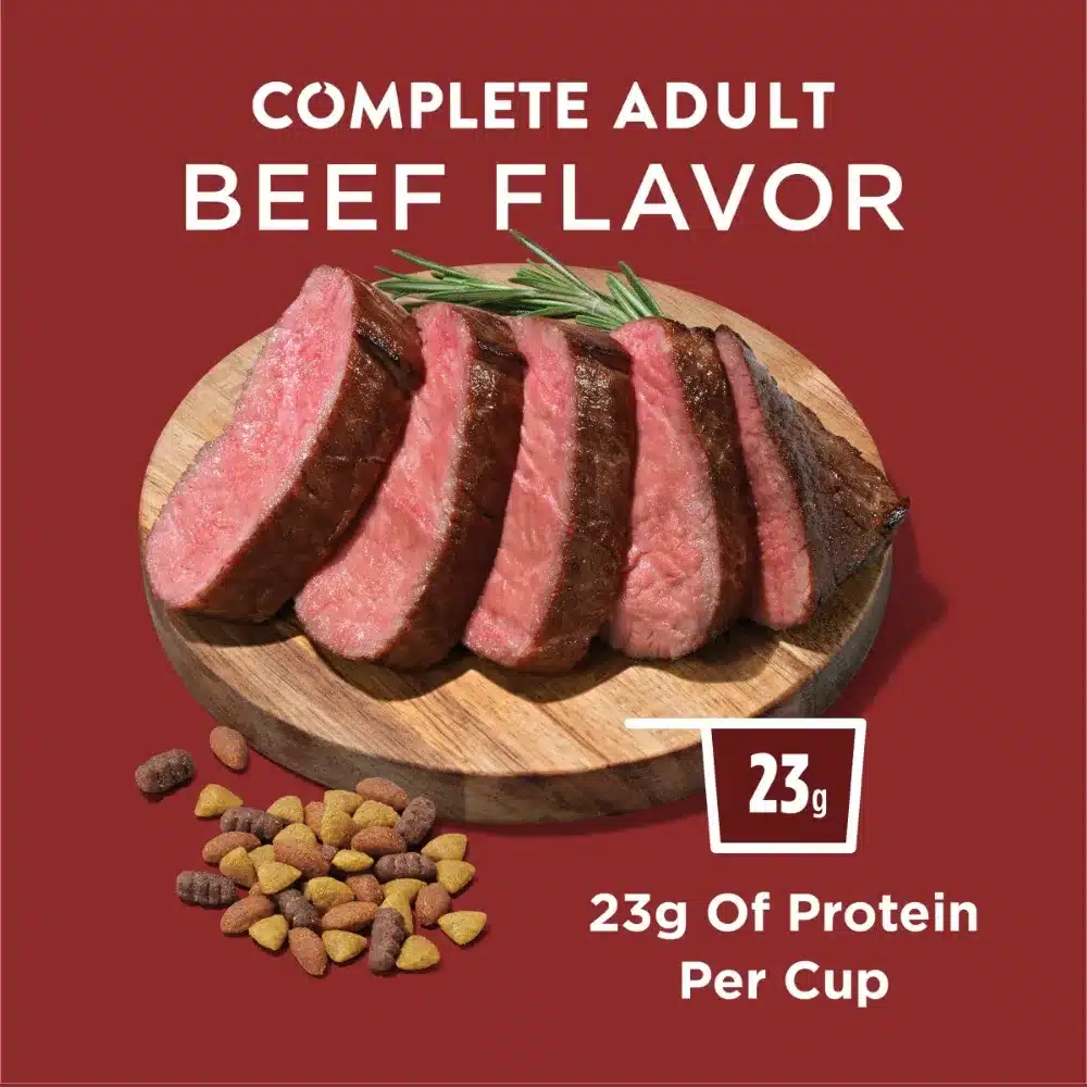 Purina Dog Chow Beef Flavor Dry Dog Food, 44 lb Bag - Image 4