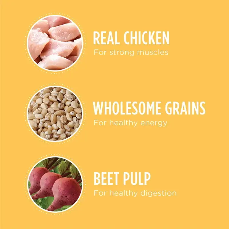 IAMS Chicken Whole Grains Flavor Dry Dog Food for Puppy, 15 lb. Bag - Image 6