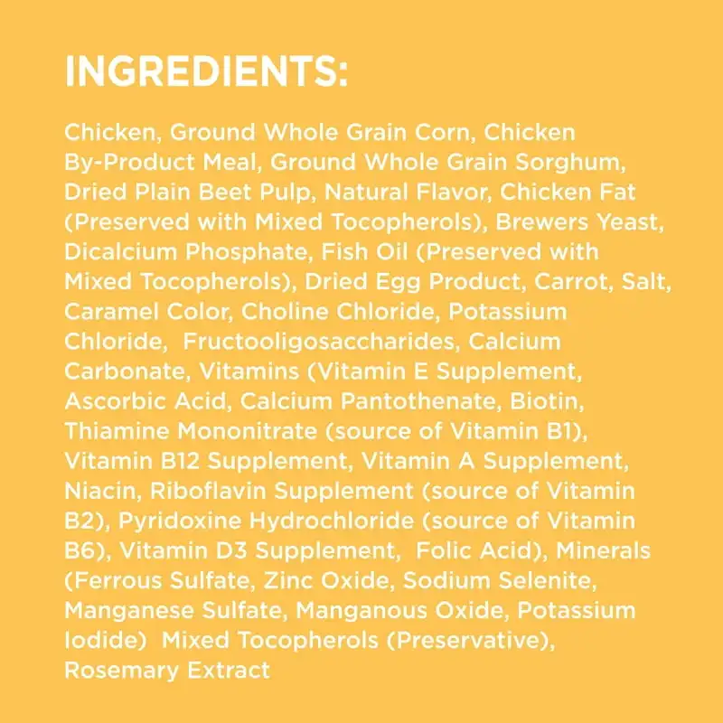 IAMS Chicken Whole Grains Flavor Dry Dog Food for Puppy, 15 lb. Bag - Image 2